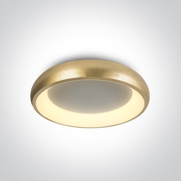ONE Light LED Dekorativ - Deckenleuchte - Ø 40 x 8,5 cm - 30W LED inkl - Gold gebürstet - Lichtfarbe warmweiß bis weiß