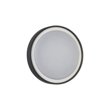 Projectlight Henry - Deckenleuchte - Ø 26 x 4,4 cm - 15W LED inkl. - IP54 - dunkelgrau