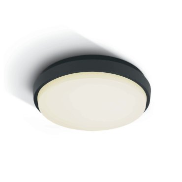 ONE Light Outdoor Slim LED - Außen-Deckenleuchte - Ø 30 x 4,9 cm - 30W LED inkl. - IP54 - anthrazit