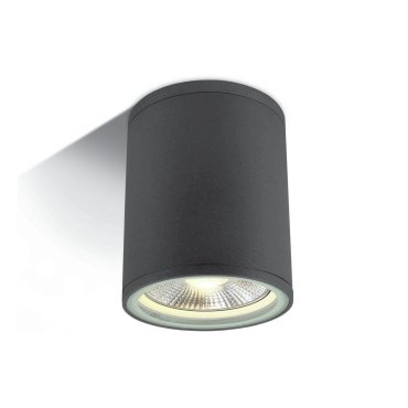 ONE Light PAR30 Outdoor Cylinders - Außen-Deckenleuchte - Ø 10,6 x 13,4 cm - IP54 - anthrazit