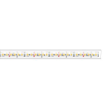 KLUS LED-Streifen - 1,67cm breit, 500cm lang - 24Vdc - 7W LED pro Meter - 120 LEDs pro Meter - IP65 - RGB