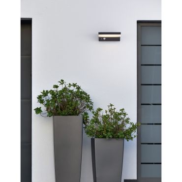 Nova Luce Dyn - Außenwandleuchte mit Solarsensor und Schalter - 16 x 11,5 x 6 cm - 1,5W dimmbare LED inkl - IP65 - anthrazit